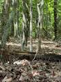 0 Cottonstone Lane - Photo 2