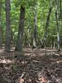 0 Cottonstone Lane - Photo 3
