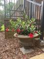 540 Carolyn Lane - Photo 20