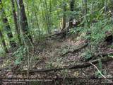 713 Cane Creek Road - Photo 7