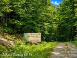 1000 Yonah Trail - Photo 1