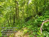 1000 Yonah Trail - Photo 15