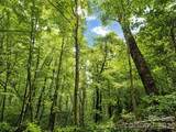 1000 Yonah Trail - Photo 16