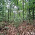 106 Red Mulberry Drive - Photo 4