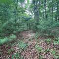 106 Red Mulberry Drive - Photo 6