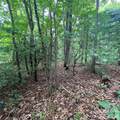 106 Red Mulberry Drive - Photo 7