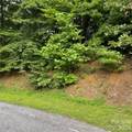 106 Red Mulberry Drive - Photo 9