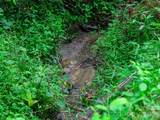 9851 Double Island Road - Photo 26