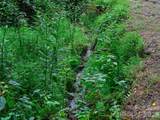 9851 Double Island Road - Photo 28