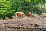 7105 Old Ridge Road - Photo 39