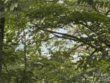 84 Goldenleaf Road - Photo 6