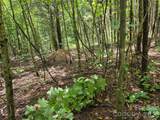 99999 Bob Barnwell Road - Photo 29