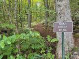 97 High Hickory Trail - Photo 20