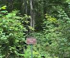97 High Hickory Trail - Photo 21
