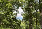 97 High Hickory Trail - Photo 10