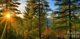 120 Johns Ridge Parkway - Photo 7