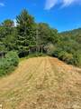 1005 Roberts Branch Road - Photo 3