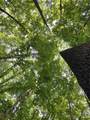 000 Stratton Farm Road - Photo 4