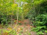 B1-B4 Anglers Ridge - Photo 11