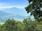 1551 Apple Creek Road - Photo 4