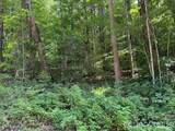 Lot 33-A Sara Ridge Road - Photo 10