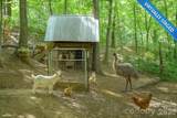185 Blossom Ridge - Photo 46
