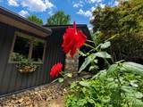 1105 High Vista Drive - Photo 3