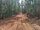 V/L Lotus Drive - Photo 6