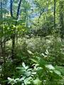 TBD Indian Lake Road - Photo 1