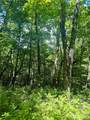 TBD Indian Lake Road - Photo 2