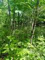 TBD Indian Lake Road - Photo 3