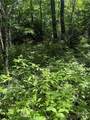 TBD Indian Lake Road - Photo 4