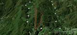 701 Pigeon Roost Road - Photo 7