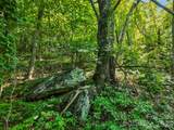 Lot #69 Twisted Trail - Photo 8