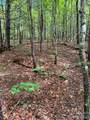 Lot 33 Justice Drive - Photo 4