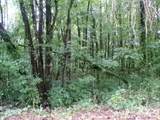 0 Larch Road - Photo 7