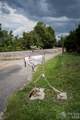 620 Old Lytle Cove Road - Photo 46