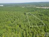 0 Riverbluff Lane - Photo 6