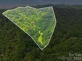 TBD Twin Oaks Road - Photo 2