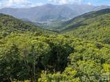 000 Wagon Trail Road - Photo 15