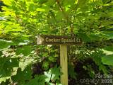 Lot 17 Cocker Spaniel Court - Photo 10