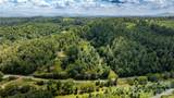22 Fern Gully - Photo 2