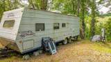 22 Fern Gully - Photo 15
