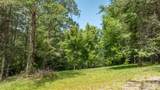 22 Fern Gully - Photo 19