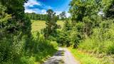 22 Fern Gully - Photo 5