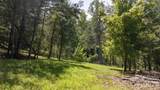 22 Fern Gully - Photo 7