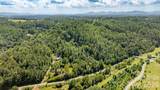 22 Fern Gully - Photo 8