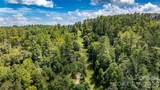 22 Fern Gully - Photo 10