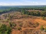 TBD Flat Rock Road - Photo 10