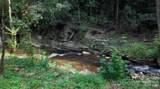 1363 Armstrong Creek Road - Photo 1